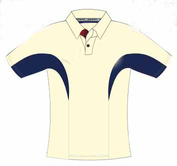 Cricket shirt