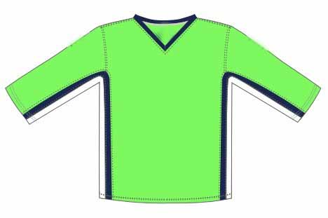 Hocky goalie top